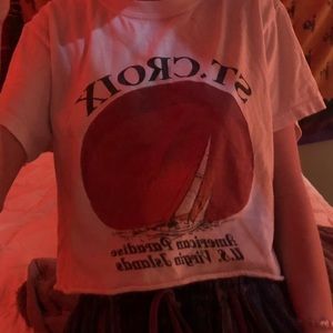 brandy melville st. croix tee